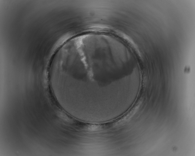 X0000102491362200809051312