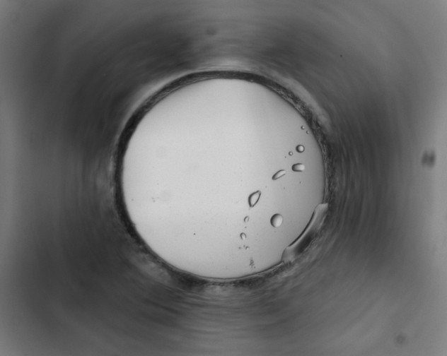 X0000102491364200809051312