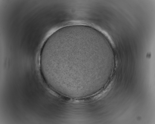 X0000102491365200809051312