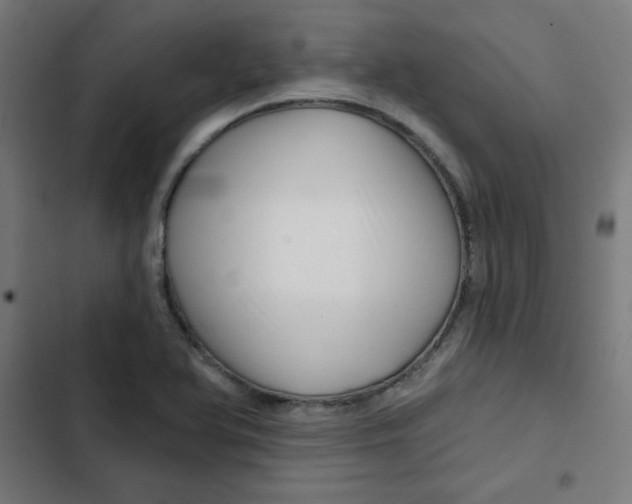 X0000102491366200809051312