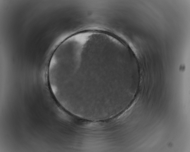 X0000102491367200809051312