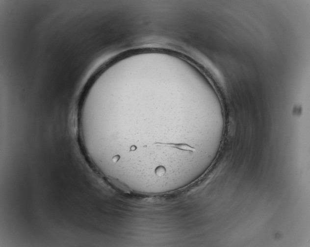 X0000102491368200809051312