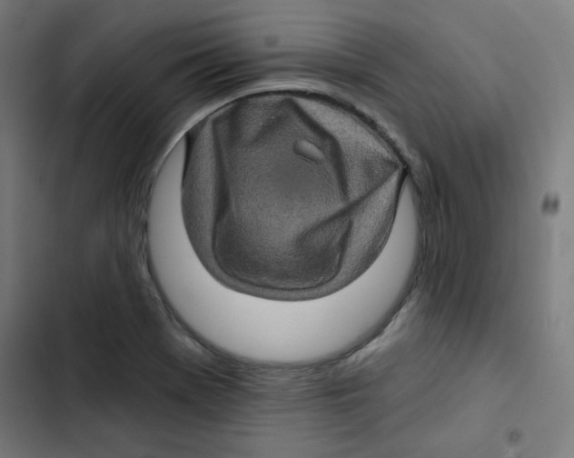 X0000102491369200809051312