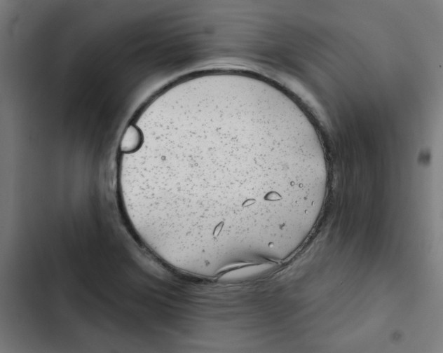 X0000102491372200809051312