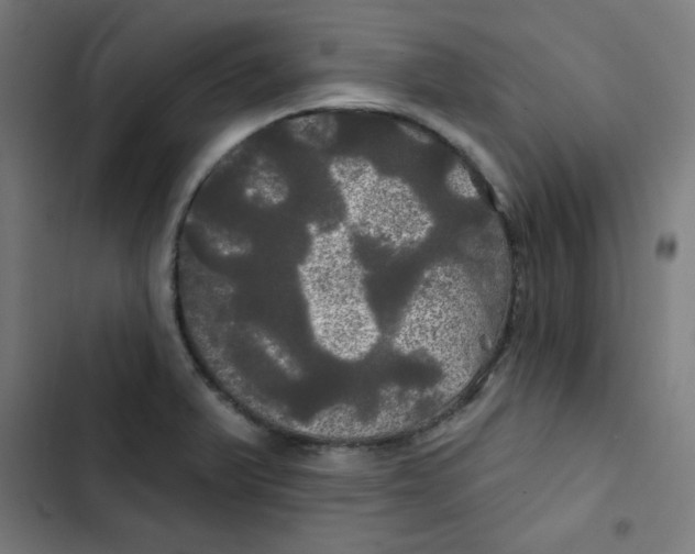 X0000102491375200809051312