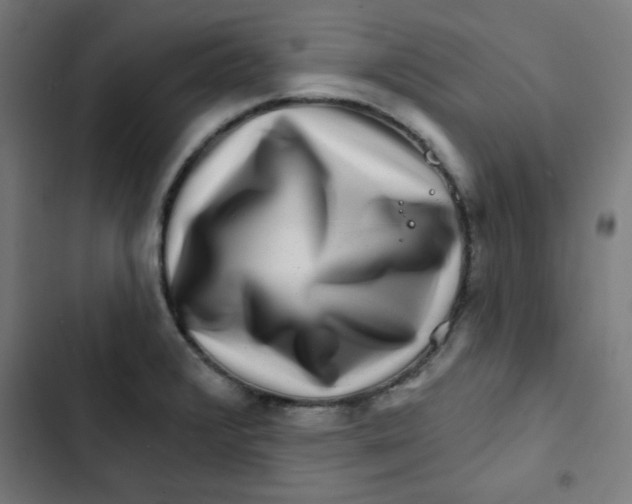 X0000102491376200809051312