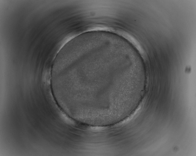 X0000102491377200809051312