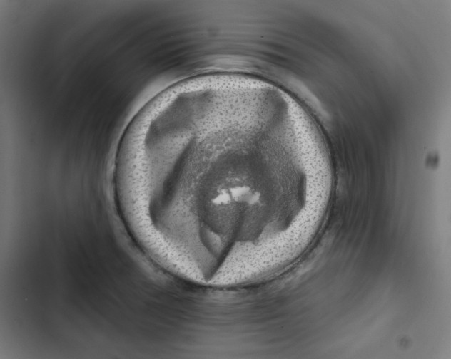 X0000102491378200809051312