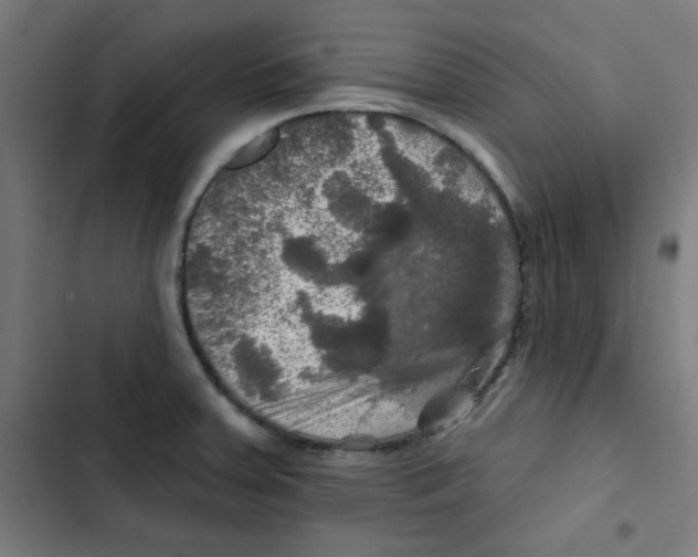 X0000102491379200809051312