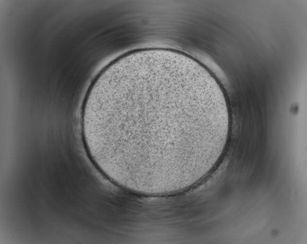 X0000102491380200809051312