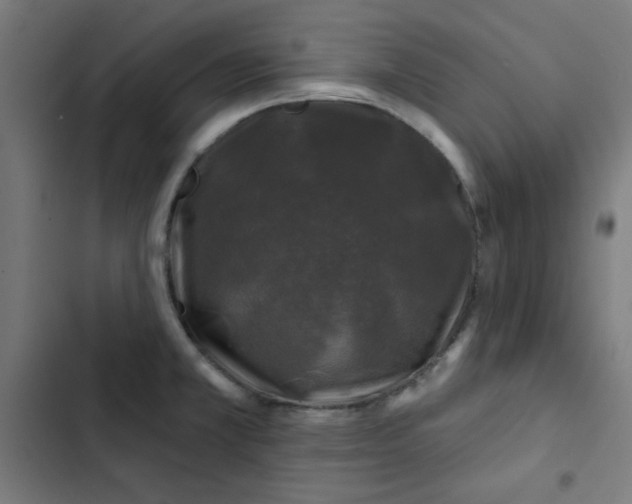 X0000102491381200809051312