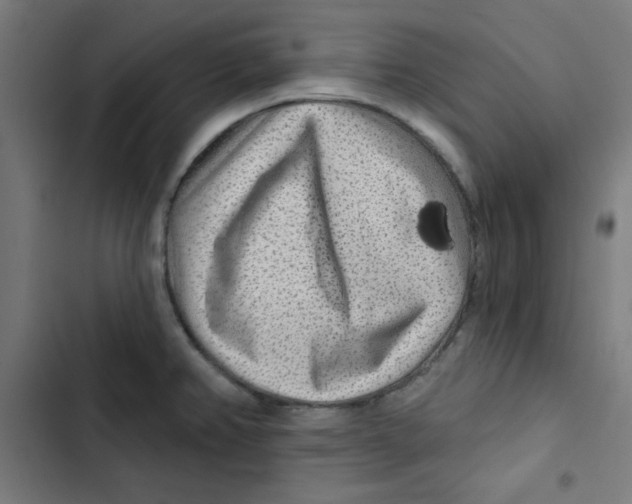 X0000102491382200809051312