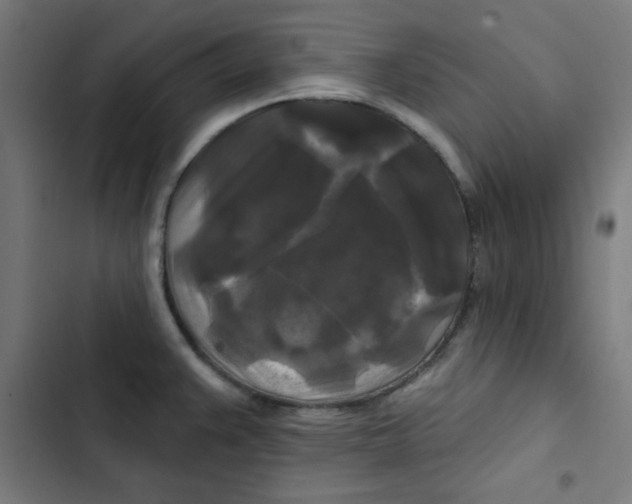 X0000102491383200809051312