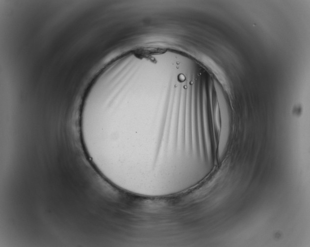 X0000102491384200809051312