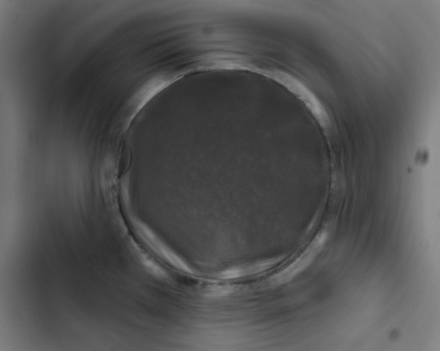 X0000102491385200809051312