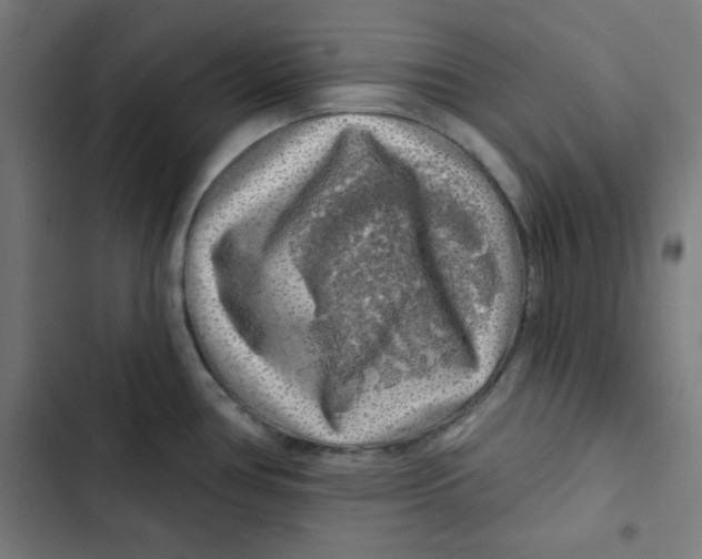 X0000102491386200809051312