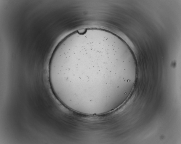 X0000102491388200809051312