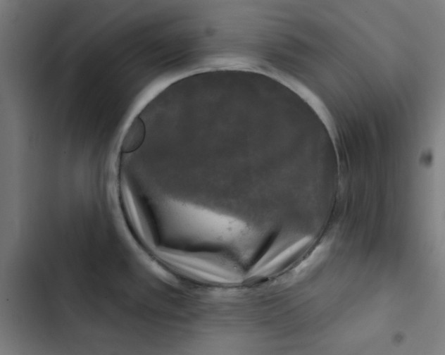 X0000102491389200809051312