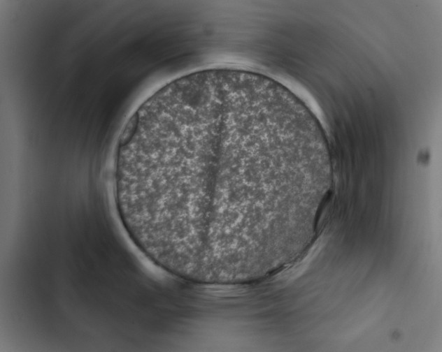 X0000102491391200809051312