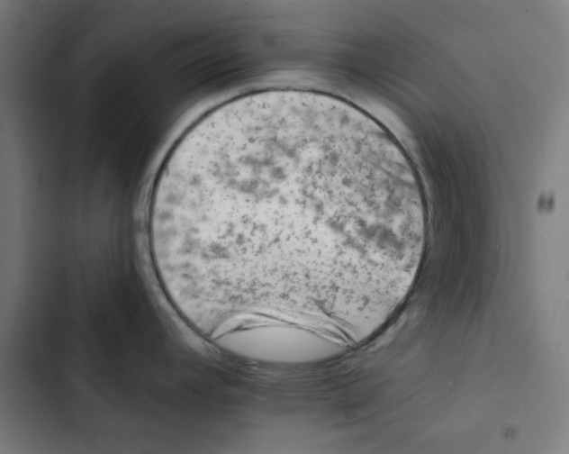 X0000102491392200809051312