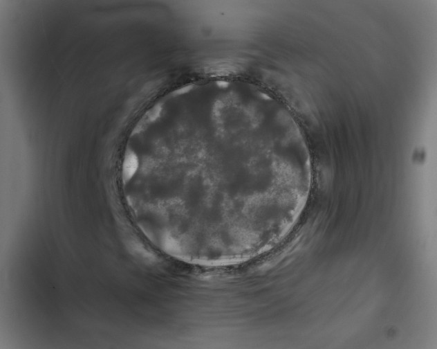 X0000102491393200809051311