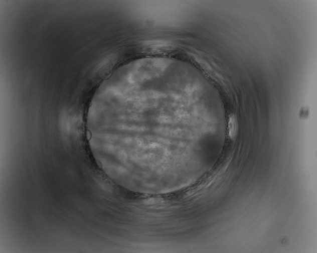 X0000102491395200809051311