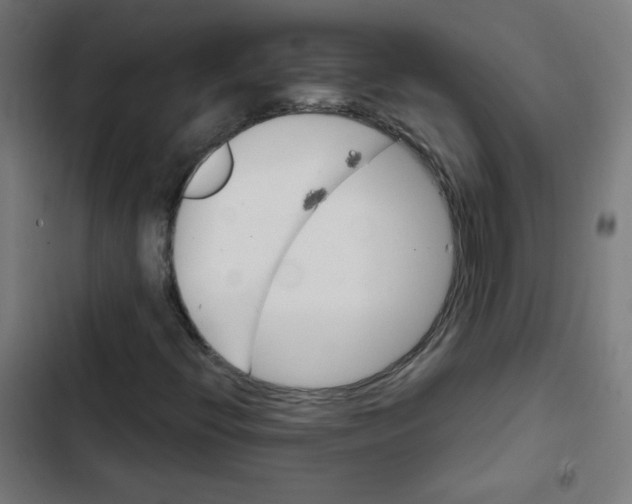 X0000102491396200809051311