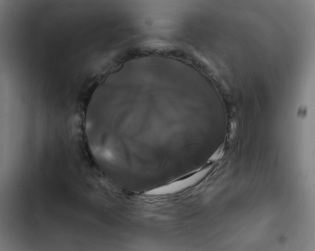 X0000102491397200809051311