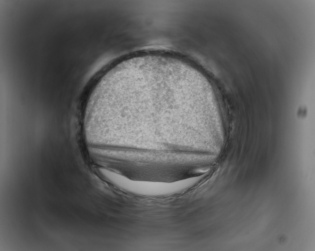 X0000102491400200809051311