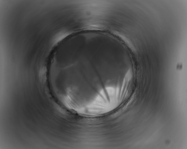 X0000102491402200809051311