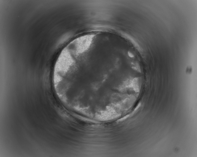 X0000102491403200809051311