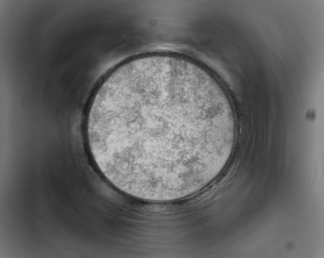 X0000102491404200809051311