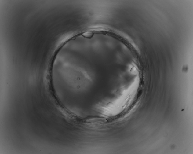 X0000102491405200809051311