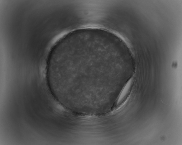 X0000102491406200809051311