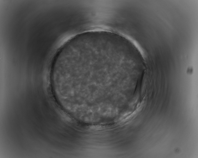 X0000102491407200809051311