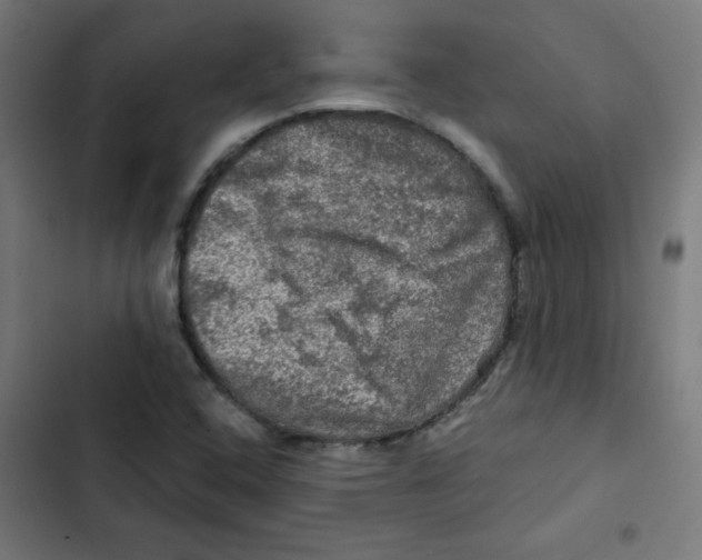 X0000102491408200809051311