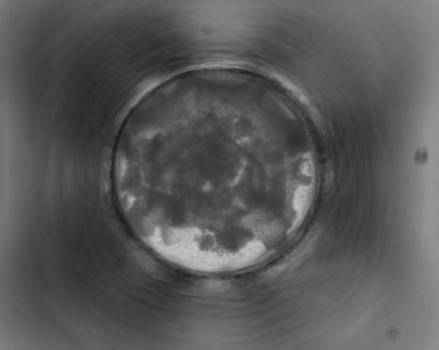 X0000102491409200809051311