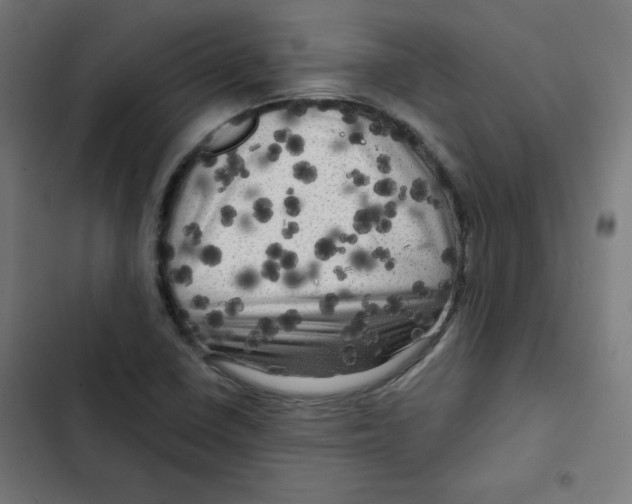 X0000102491410200809051311