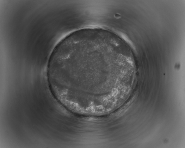 X0000102491412200809051311