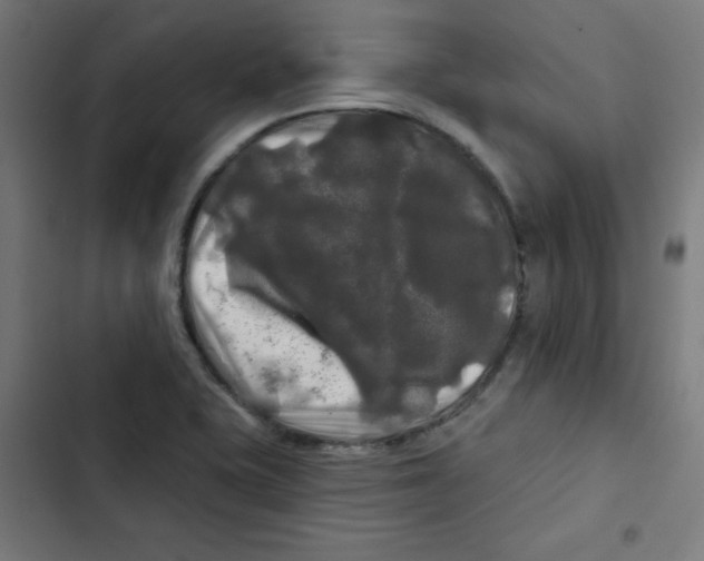 X0000102491415200809051311