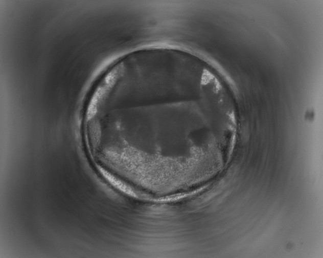 X0000102491416200809051311