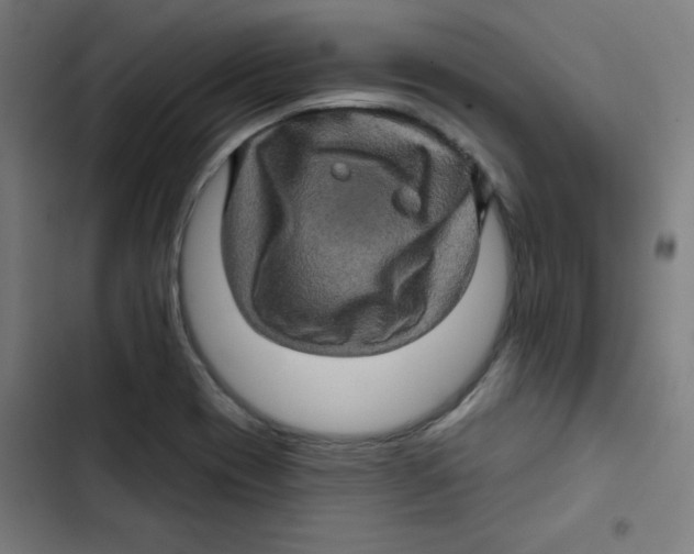 X0000102491417200809051311