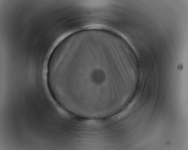 X0000102491418200809051311