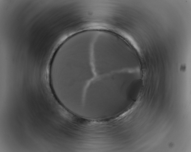 X0000102491419200809051311