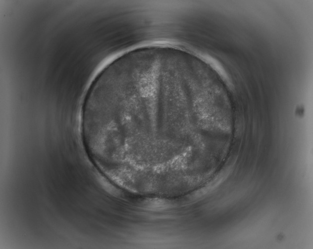 X0000102491420200809051311