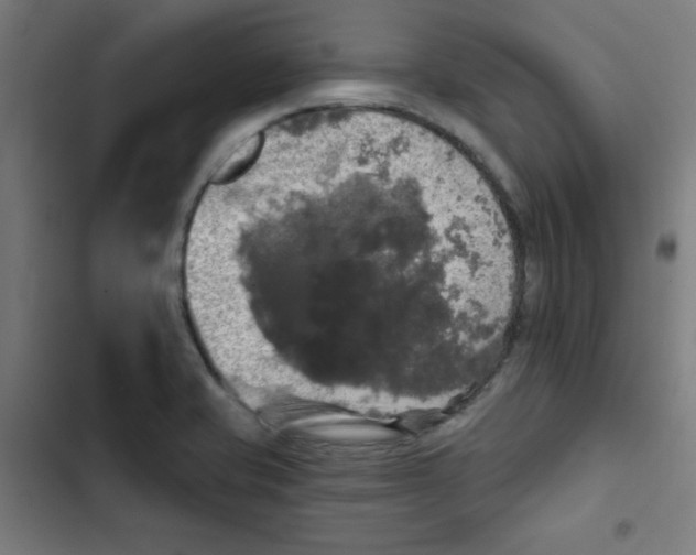 X0000102491421200809051311