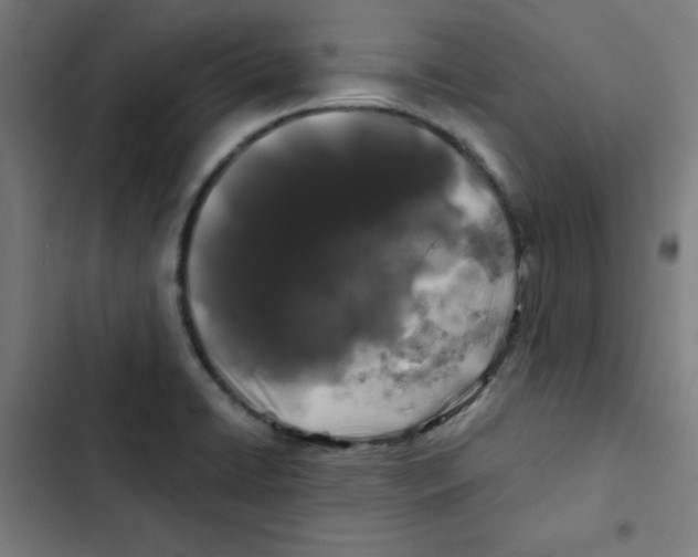 X0000102491422200809051311