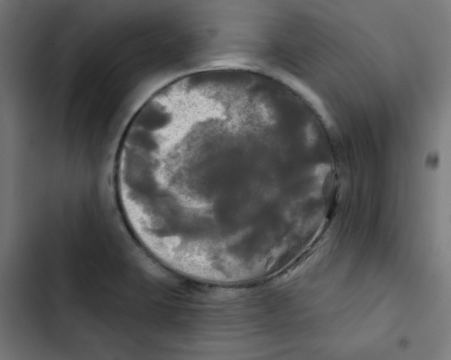 X0000102491423200809051311