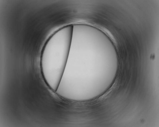 X0000102491424200809051311