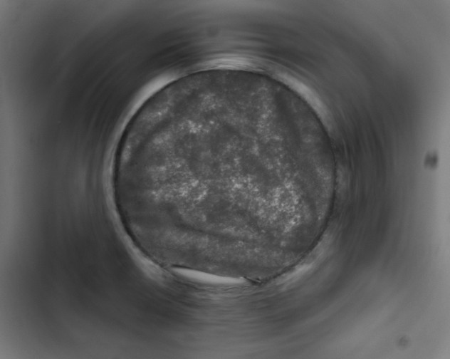 X0000102491426200809051311